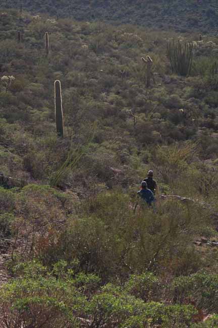 along the Arch Canyon Trail